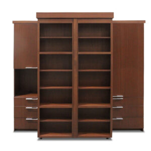 Twin Bookcase Bed Special